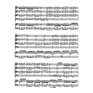 KONZERTOS FOR HARPSICHORD MAŁA PART. BWV 1052-1059