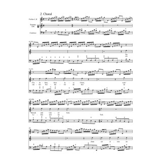 LOBE DEN HERRN, MEIONE SEELE   BWV 143