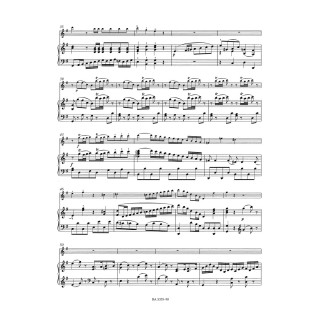 CONCERTO G-DUR FOR FLUTE AND ORCHESTRA